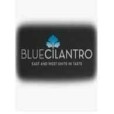 Blue Cilantro
