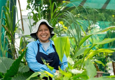 The Brasserie Market