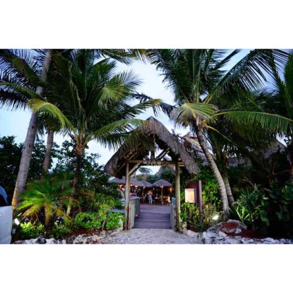  Ristorante Pappagallo is perfect for any occasion from a business dinner to a more intimate affair 