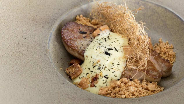  Avecita Food Dish 