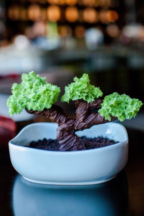  Bonsai-Dessert---Taikun-20210222150429 