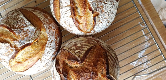 Conscious Cafe Fresh Baked Bread 