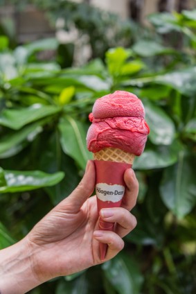  Hagen Daz Sorbet in a Cone 