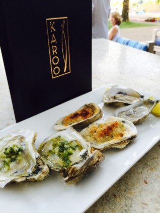  Karoo Cayman Oysters 