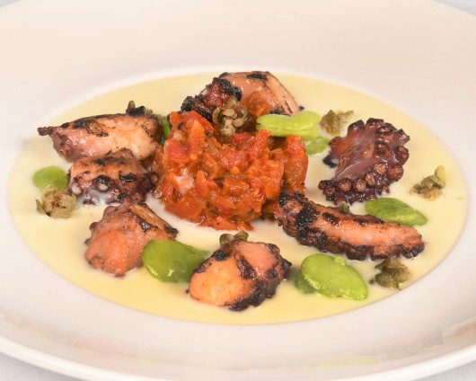  Papagallo Cayman Octopus Dish 