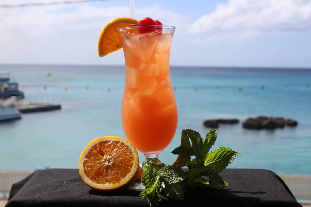  Sharkeez Cayman Cocktail Oceanfront View 