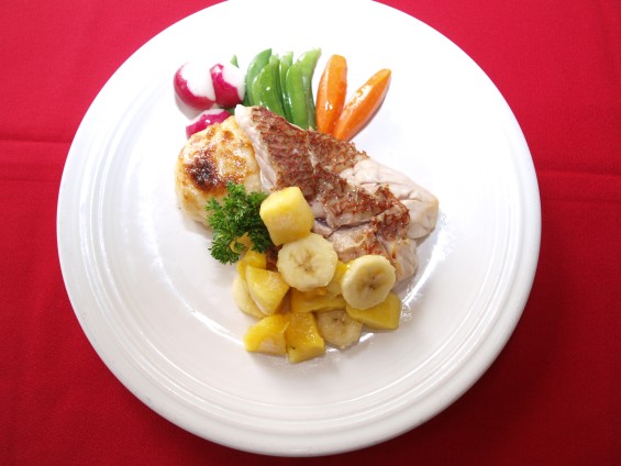  Sunset House Tropical Snapper 