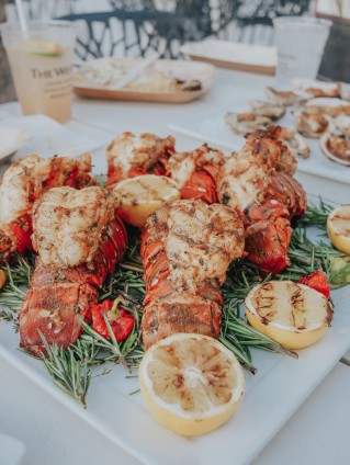  Tortuga Cayman Lobster 