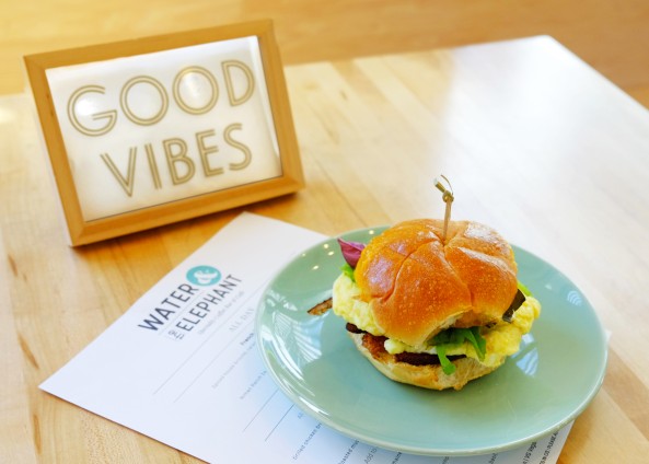  Water and Elephant Burger 