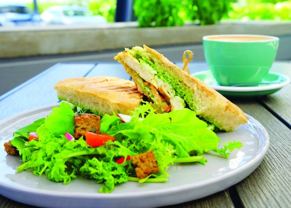  Water and Elephant Sandwich 