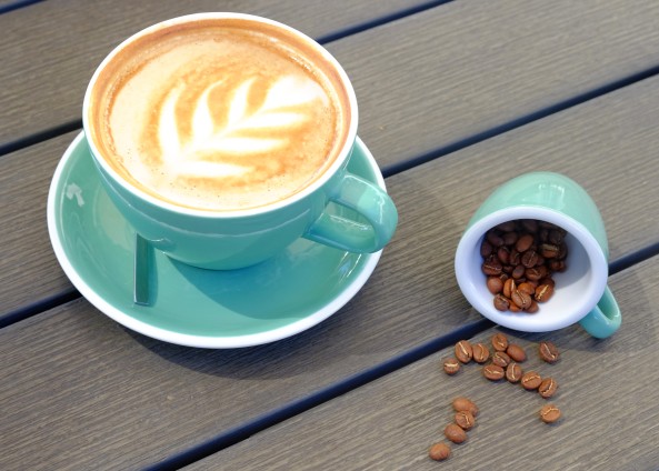  Water and Elephant-coffee 