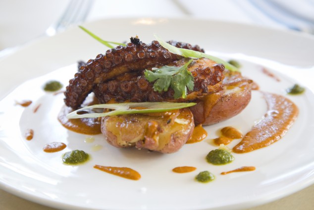  Agua Food Dish Octopus 