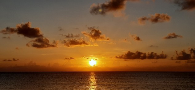  Sharkeez Cayman Sunset View 