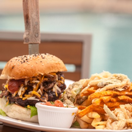 Sunshine Grill Burger and Fries 