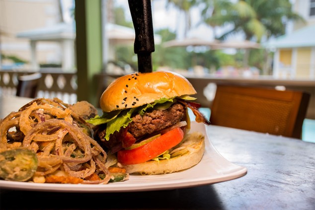  Sunshine Grill Onion Rings and Burger 