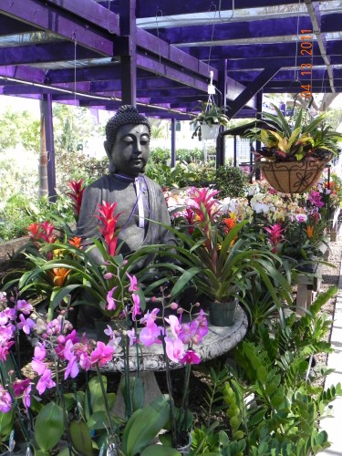 Every Bloomin' Thing