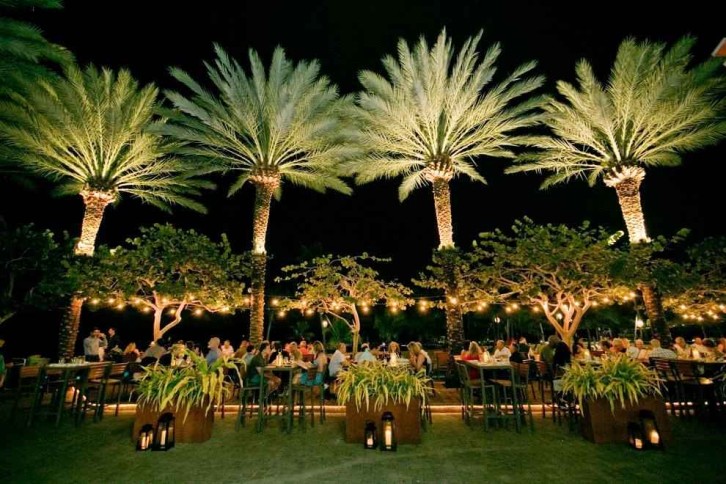 The Best Restaurants in Camana Bay